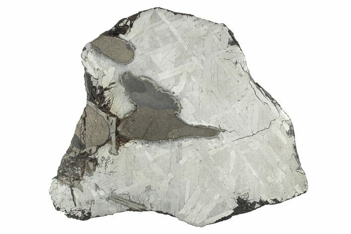 Etched Toluca Iron Meteorite ( g) Slice - Mexico #346494